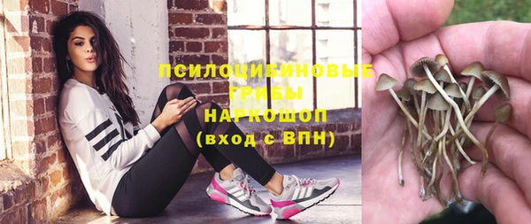 mix Алексин