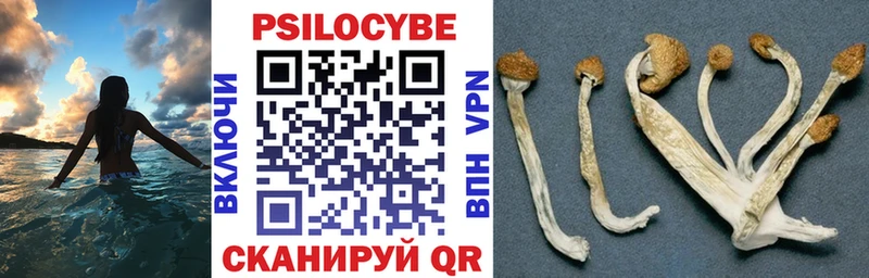 Галлюциногенные грибы GOLDEN TEACHER Нижнеудинск