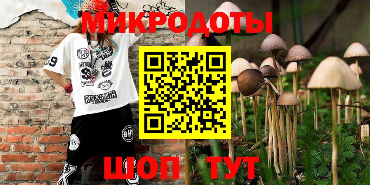 Псилоцибиновые грибы мицелий Нижнеудинск