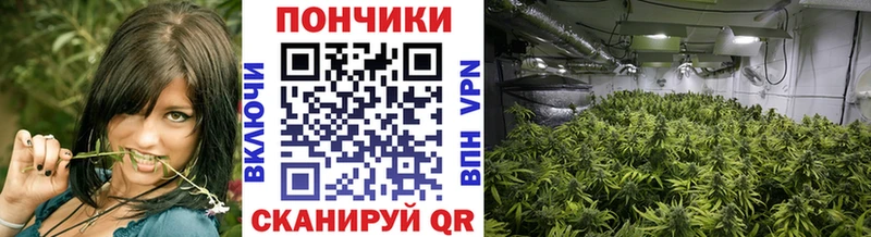 МАРИХУАНА ГИДРОПОН  Нижнеудинск 